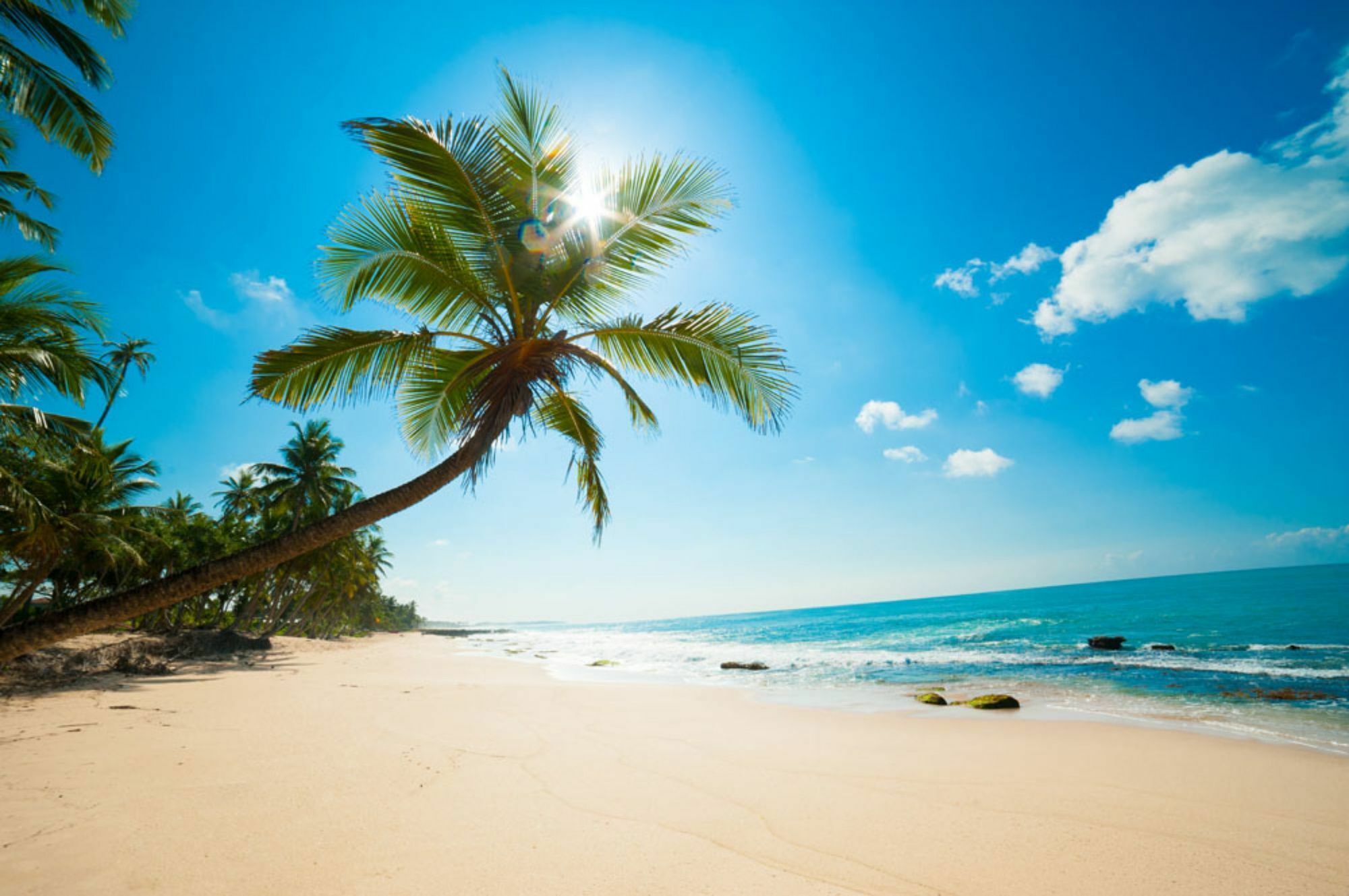 Sisuo Seaview Hotel Sanya Dış mekan fotoğraf